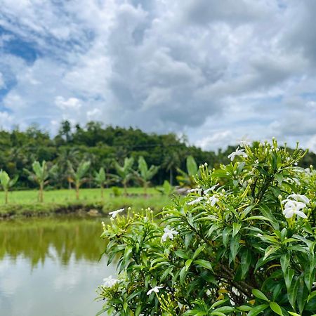 Jazz Ferme Inn Batuan Bohol Zewnętrze zdjęcie
