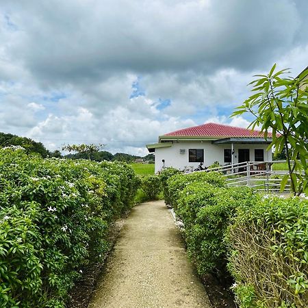 Jazz Ferme Inn Batuan Bohol Zewnętrze zdjęcie