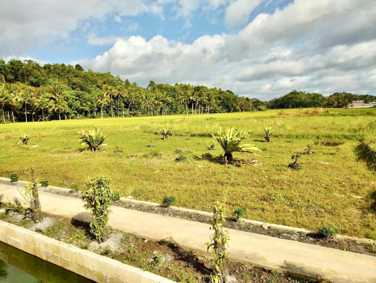 Jazz Ferme Inn Batuan Bohol Zewnętrze zdjęcie