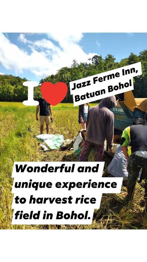 Jazz Ferme Inn Batuan Bohol Zewnętrze zdjęcie