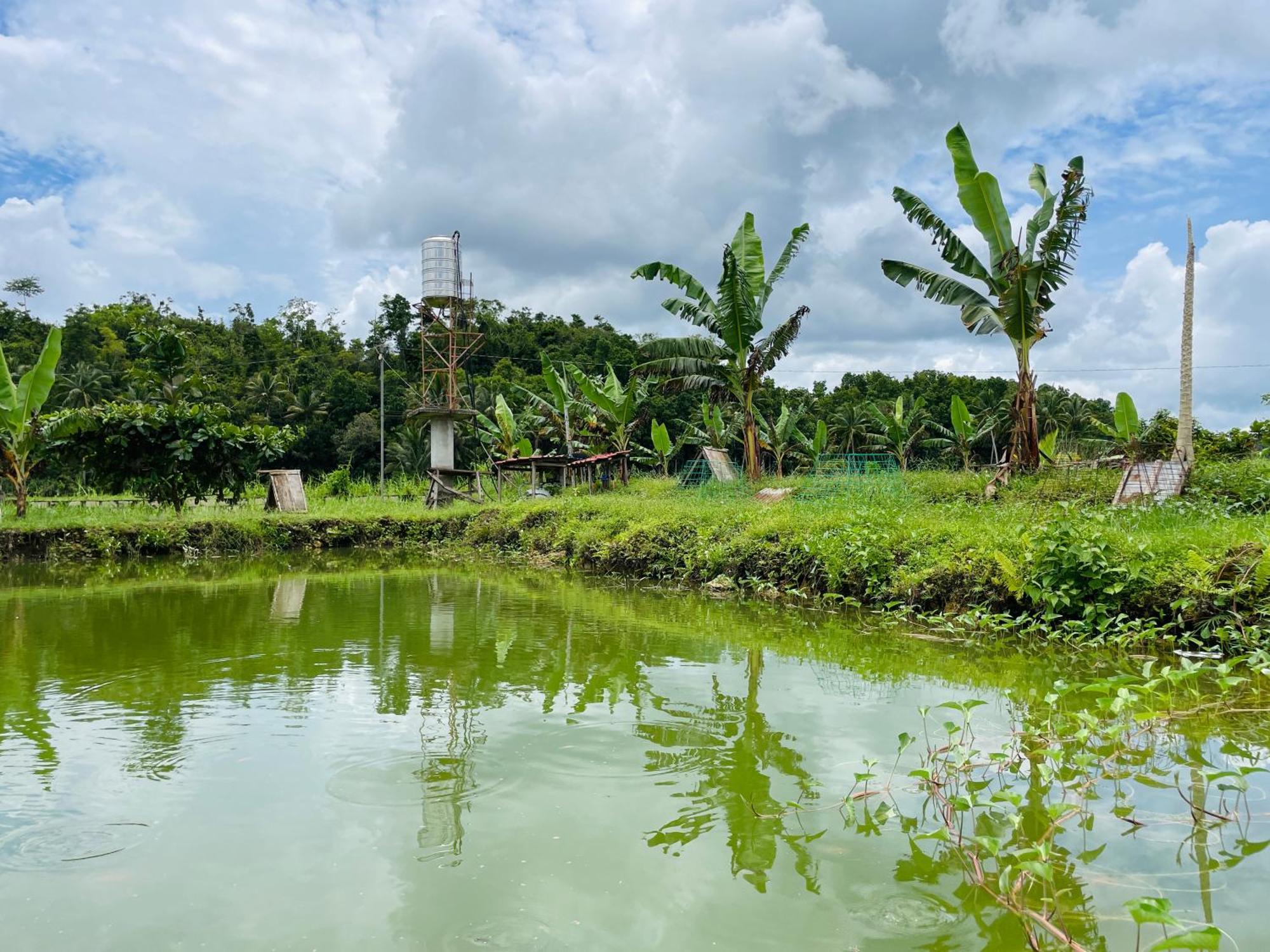 Jazz Ferme Inn Batuan Bohol Zewnętrze zdjęcie