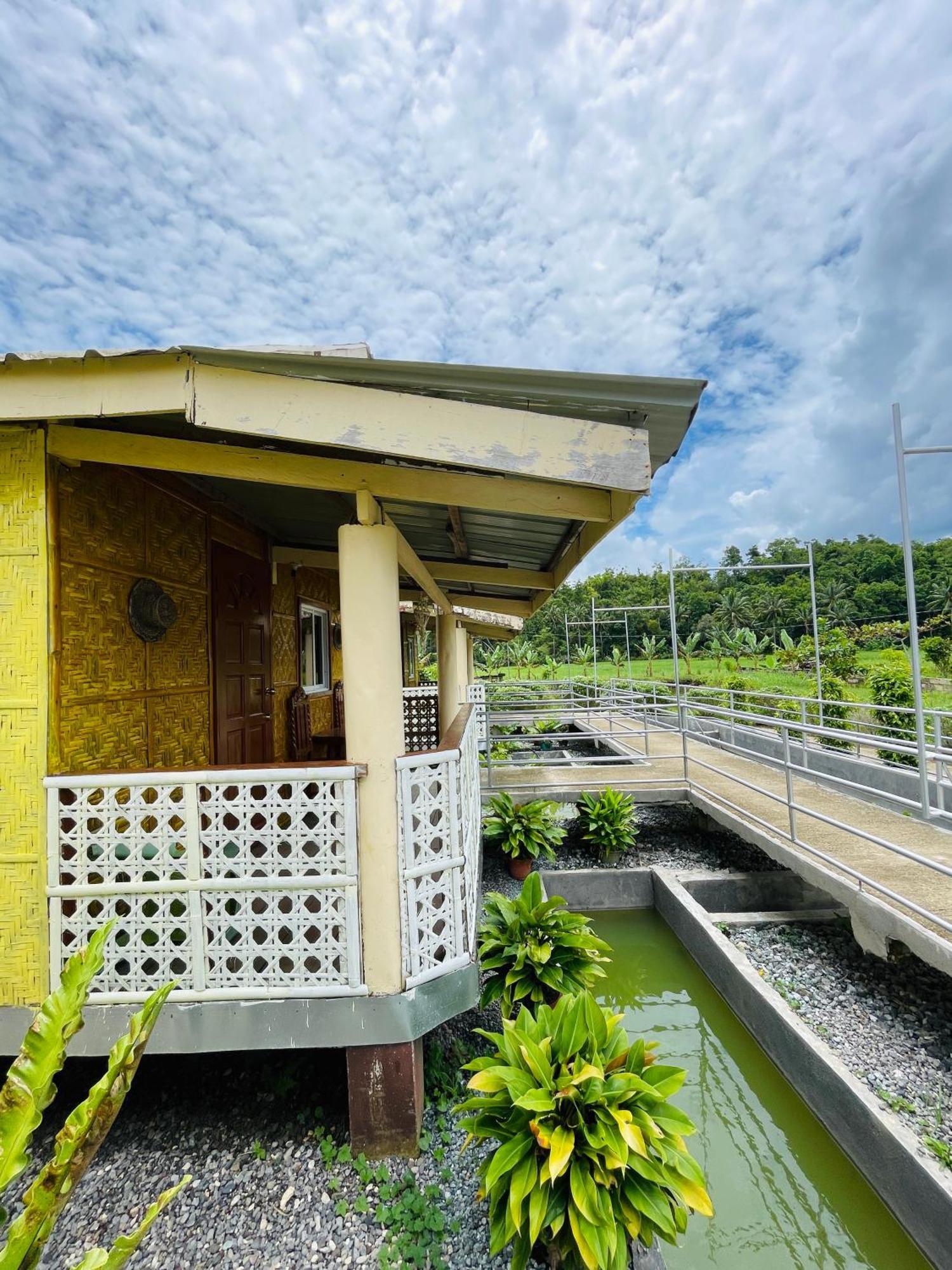 Jazz Ferme Inn Batuan Bohol Zewnętrze zdjęcie