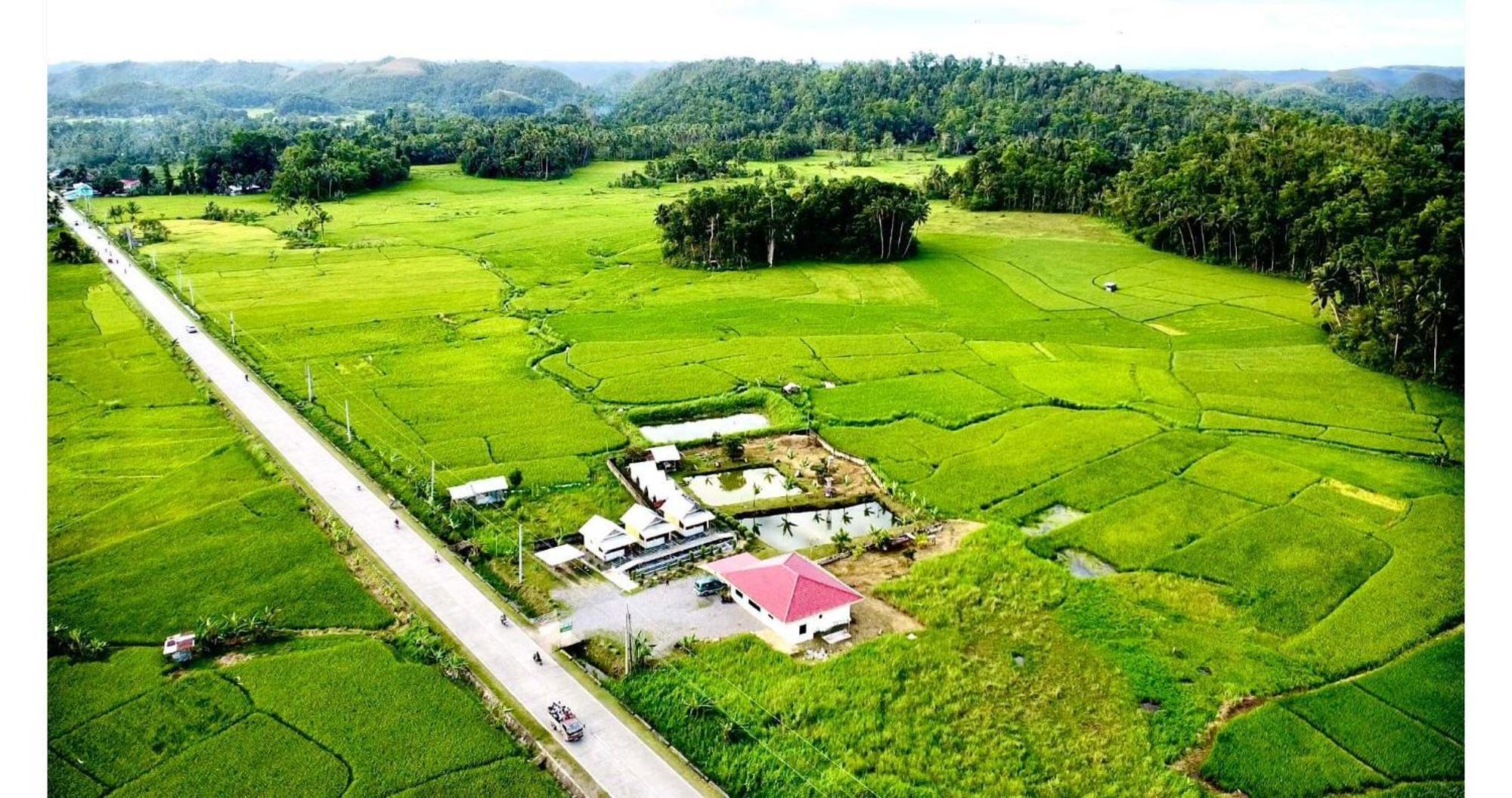 Jazz Ferme Inn Batuan Bohol Zewnętrze zdjęcie