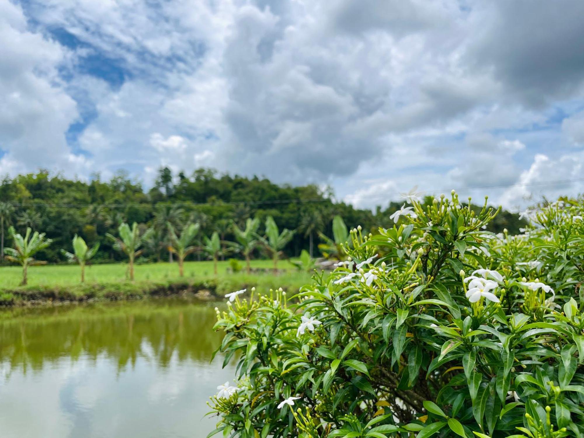 Jazz Ferme Inn Batuan Bohol Zewnętrze zdjęcie