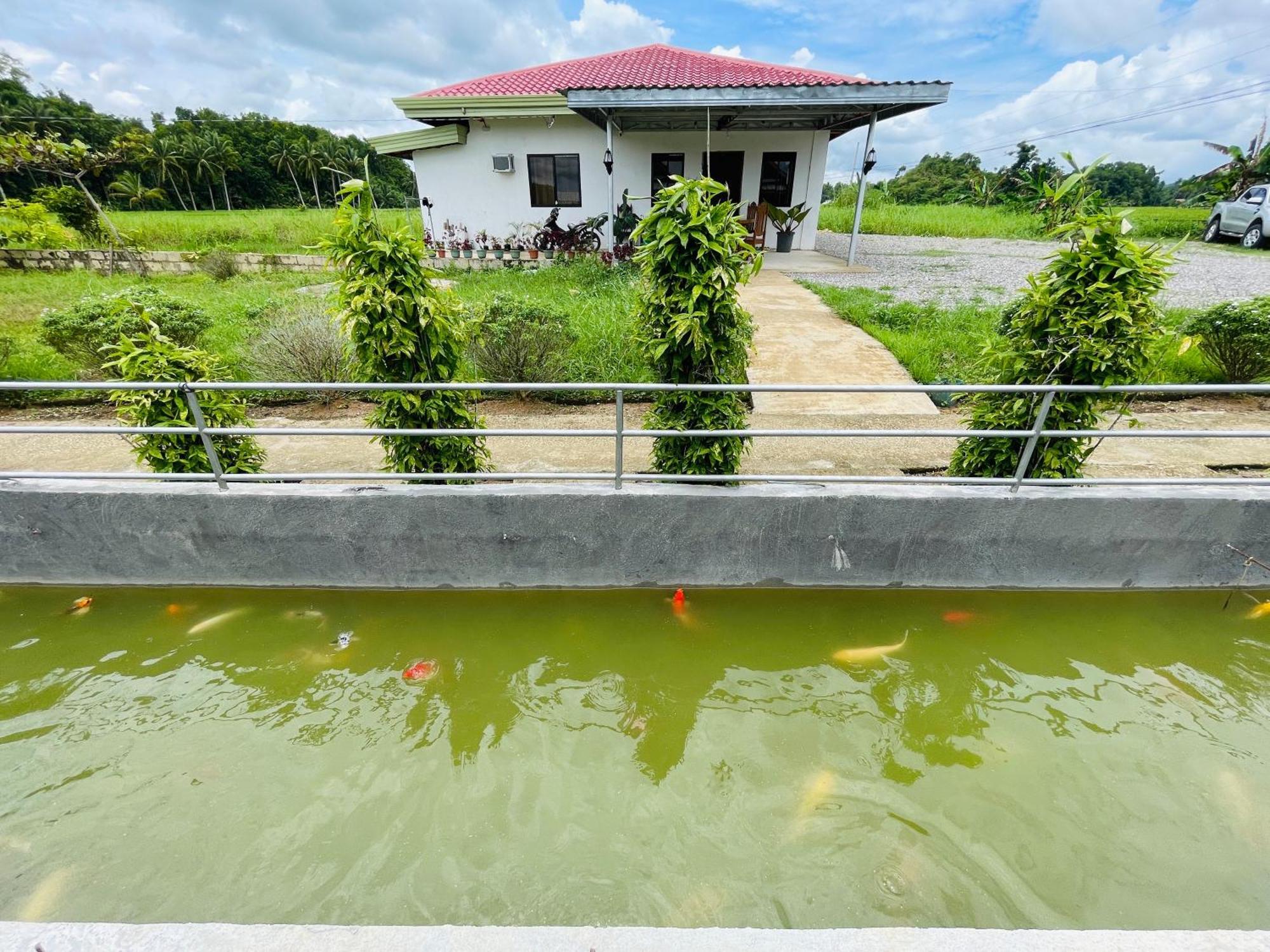 Jazz Ferme Inn Batuan Bohol Zewnętrze zdjęcie