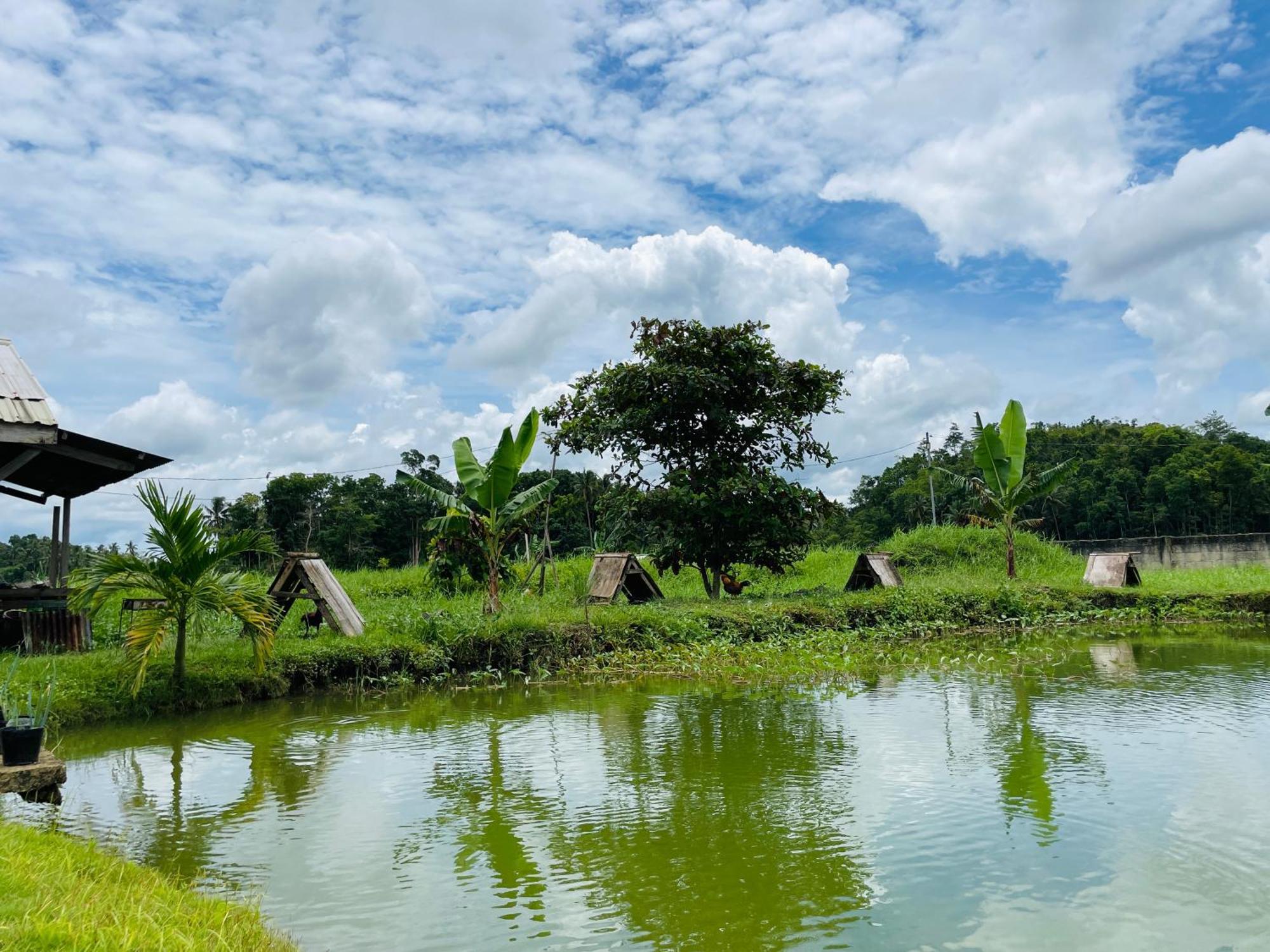 Jazz Ferme Inn Batuan Bohol Zewnętrze zdjęcie